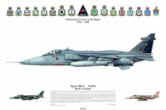 Sp65, Jaguar GR1A, 25th Anniversary.